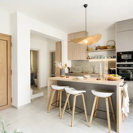 New Stylish Tessera With Private Pool And Bbq Vilă