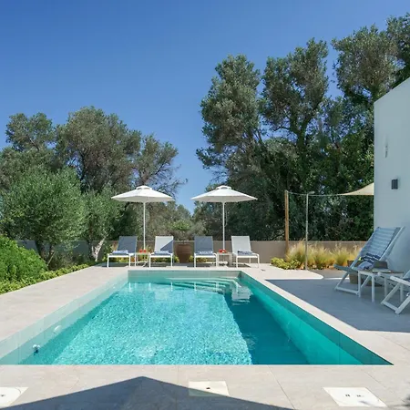 New Stylish Tessera With Private Pool And Bbq Vilă *